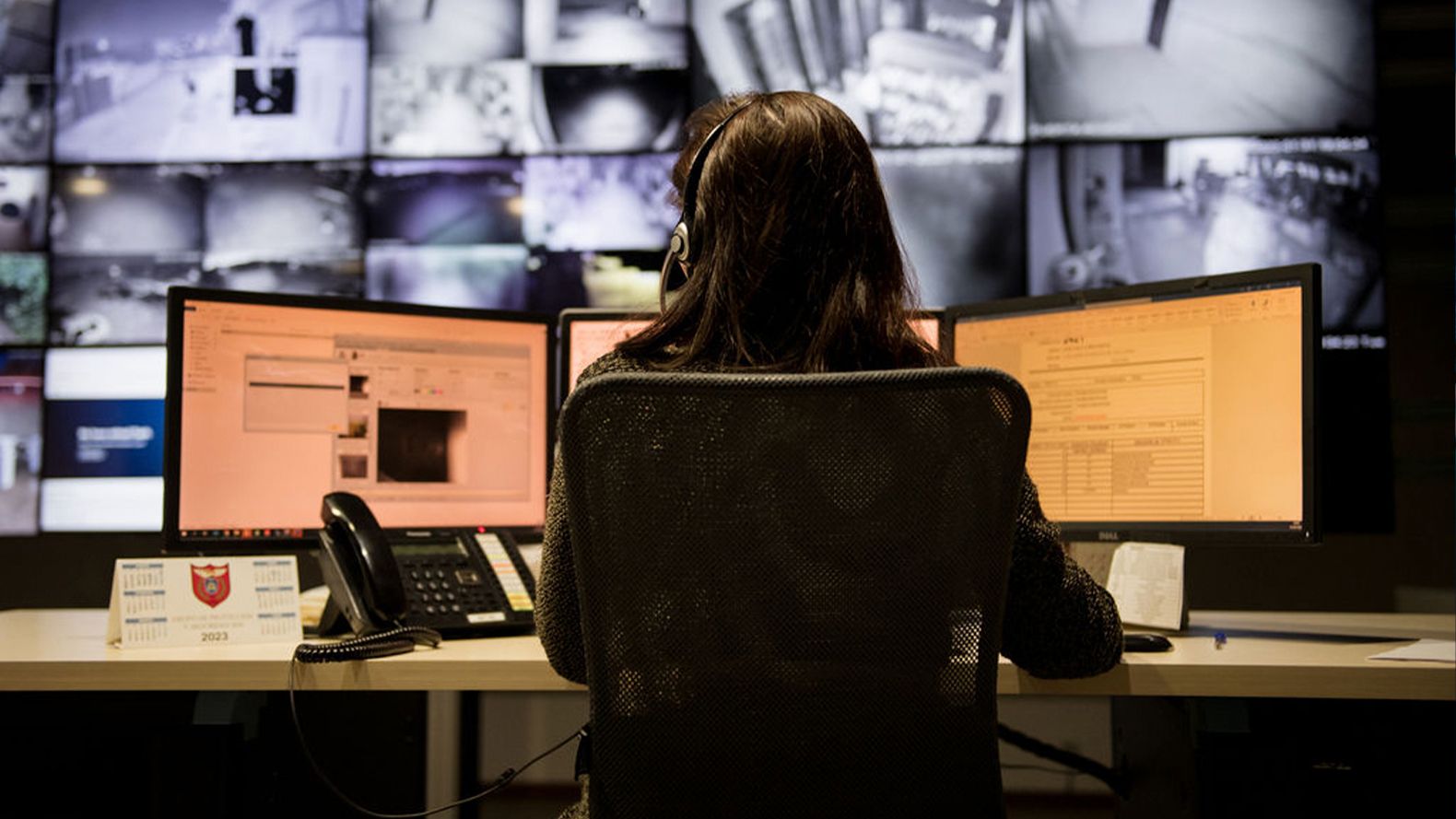 Grupo de Protección y Seguridad en Ibiza