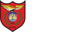 Grupo de Protección y Seguridad 909